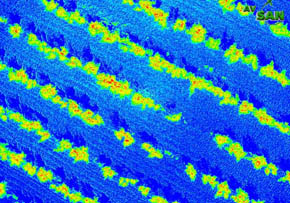 ortofotos-multiespectrales